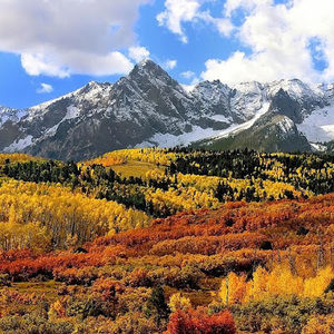 Meet your Posher, Ankita